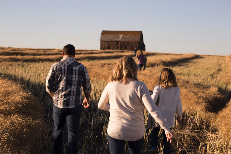 A family walking through tall grass towards a barn